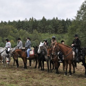 Hubertus 2009